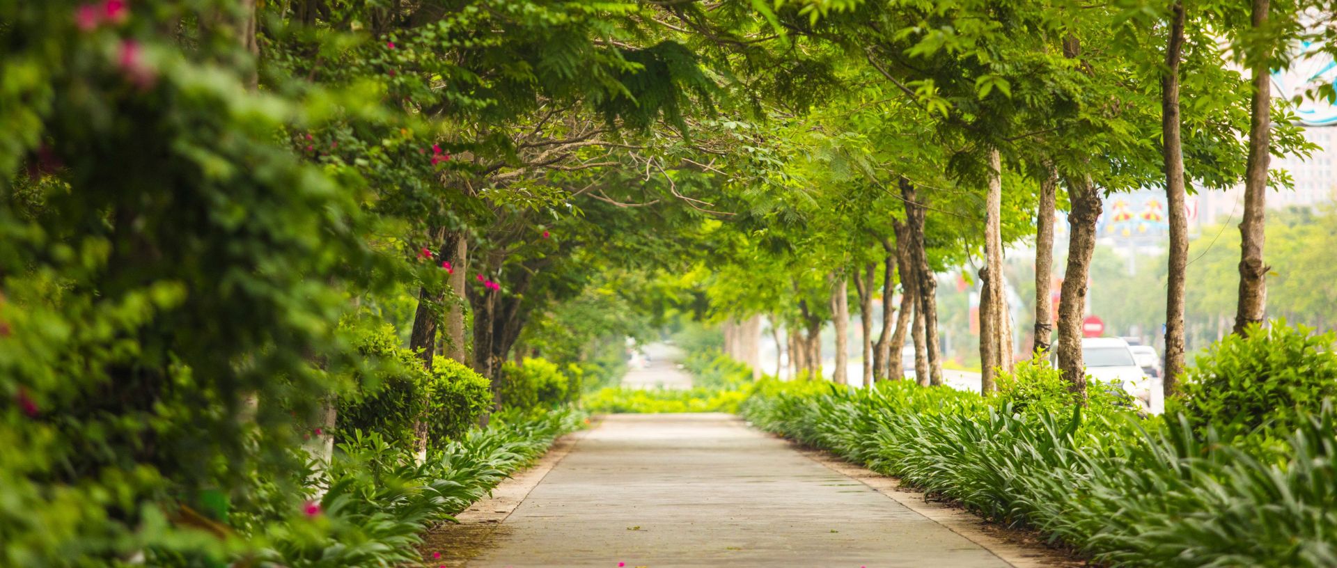 tin tức MỞ CỬA NHÀ HÀNG CITADINES MARINA HALONG